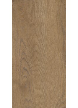 Dlažba Taiga Brown 60x30