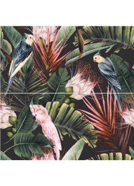 Dekor Parrots  Rekt. 60x60