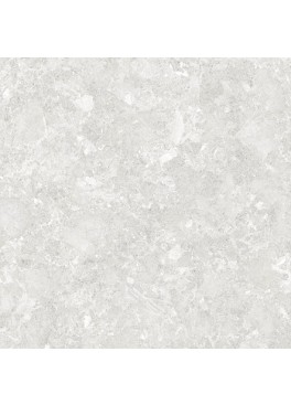 Dlažba Lunaria Soft Grey Mat Rek. 120x120